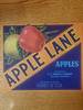 Apple Lane H S  Denison