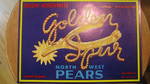 Golden Spur