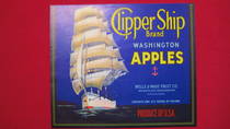 Clipper Ship