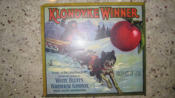 Klondike Winner Fruit Crate Label