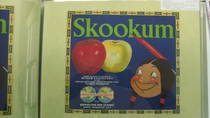 Skookum Early MEPA