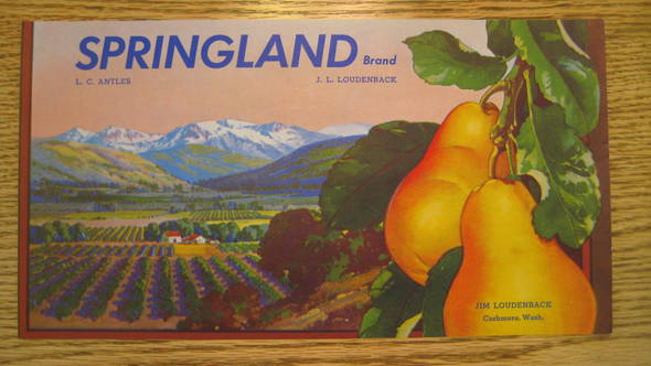 Springland Fruit Crate Label