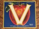 V Brand