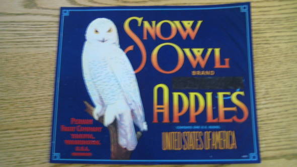 Snow Owl Fruit Crate Label