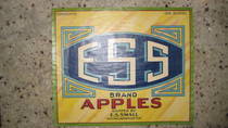 ESS