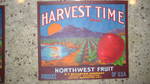 Harvest Time
