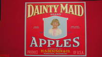 Dainty Maid Red