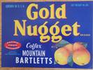 Gold Nugget Pacific Fruit X