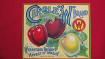 Circle W