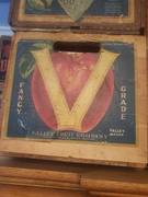 V Brand Fancy