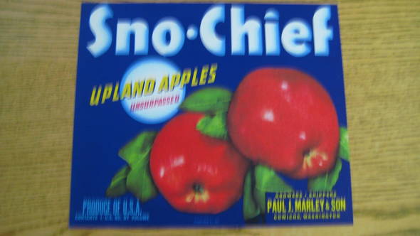 Sno-Chief Fruit Crate Label