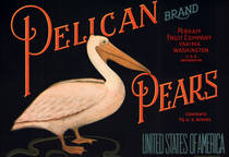 Pelican Pears