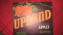 Upland crocker union