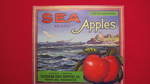 Sea