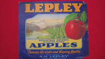 Lepley